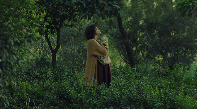 Κάμπια νύμφη πεταλούδα