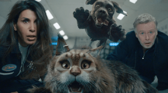 Σκύλος & Γάτα: Μια Τρελή Καταδίωξη