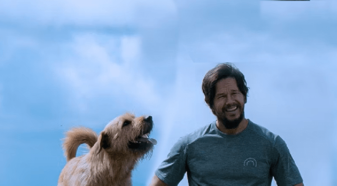 Άρθουρ ο βασιλιάς