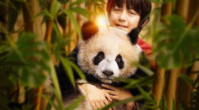 Το μικρό μου Πάντα